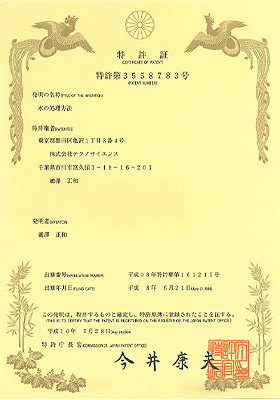 日本特許証面